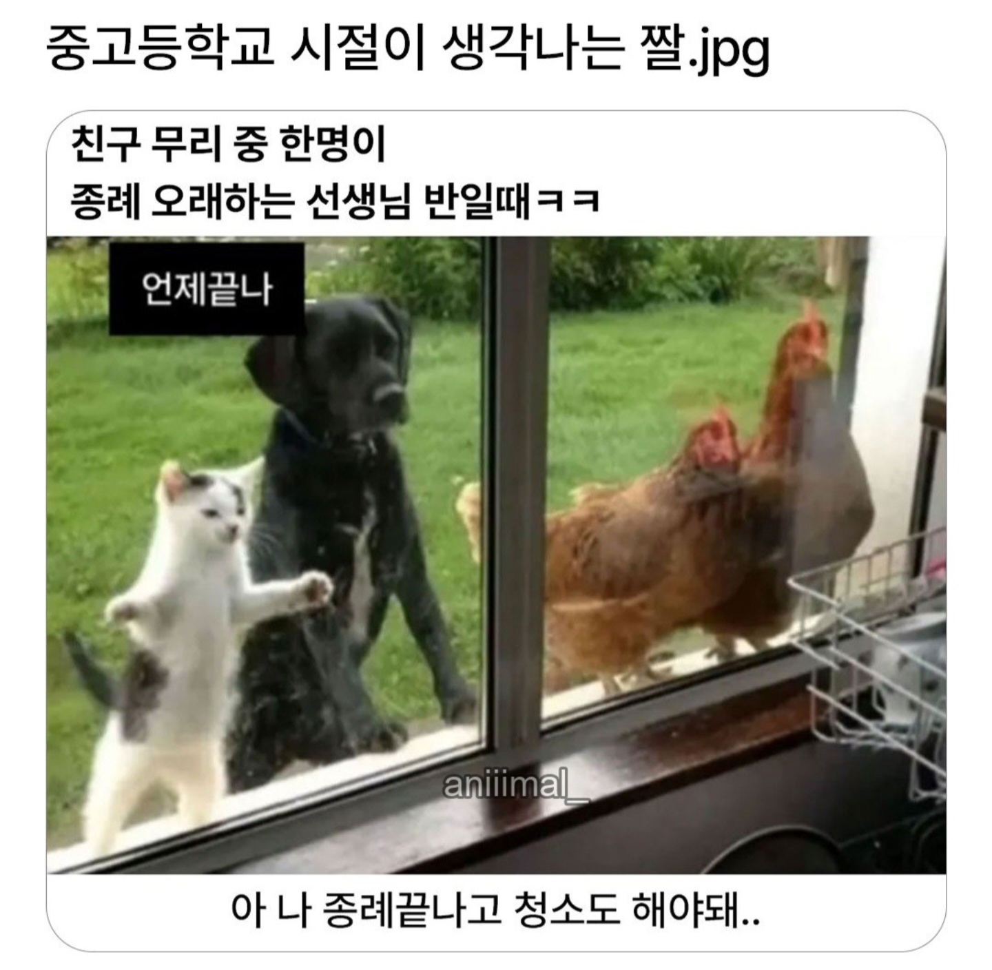 게시물 이미지