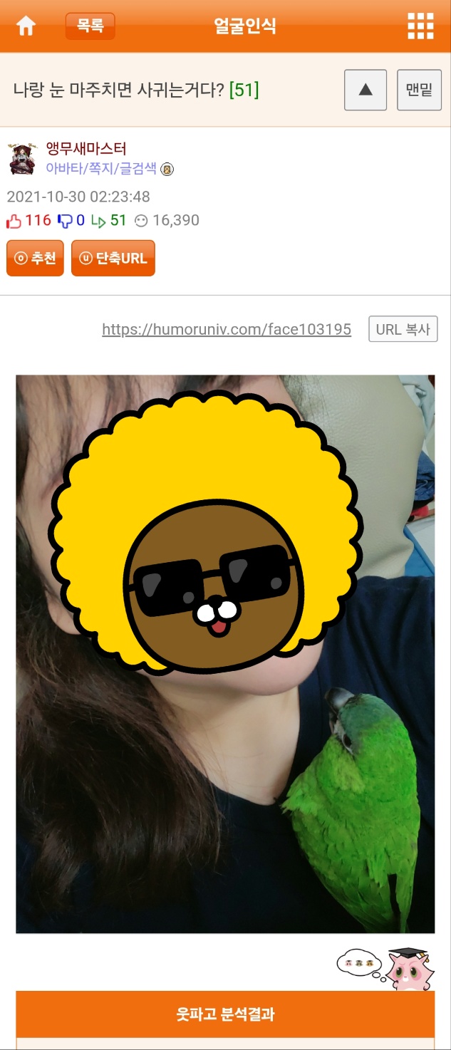 게시물 이미지