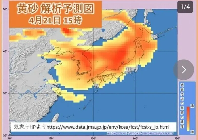 게시물 이미지