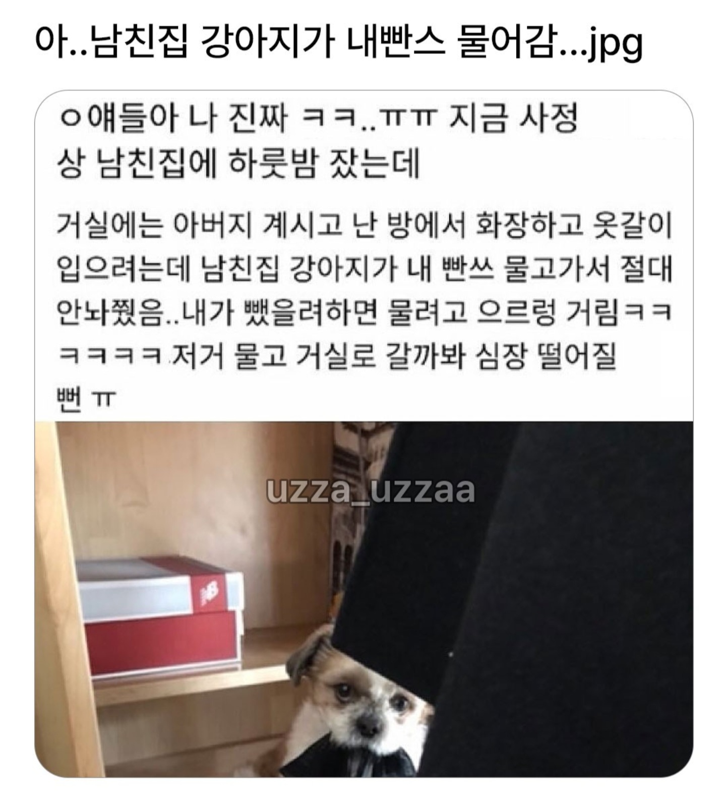 게시물 이미지