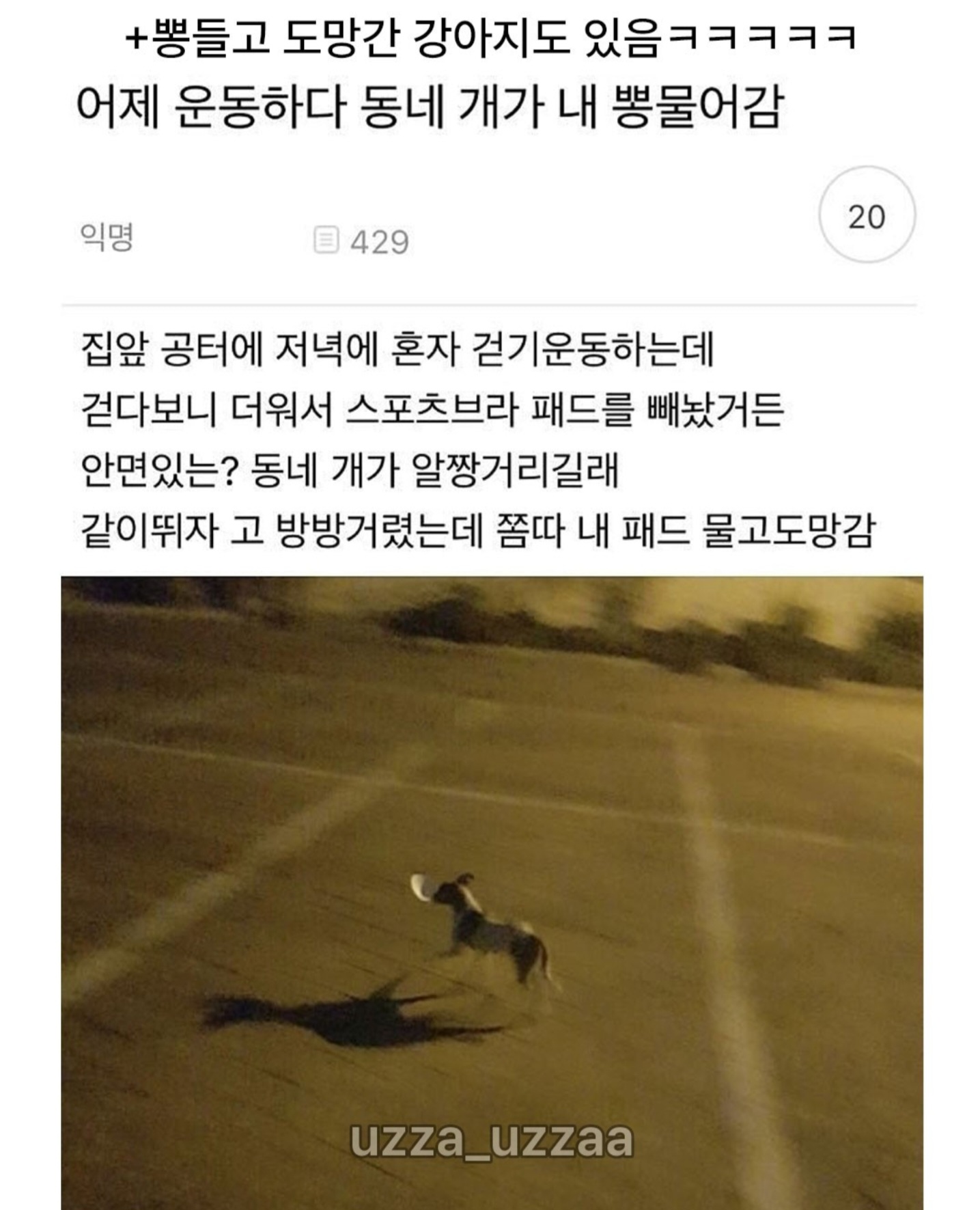 게시물 이미지