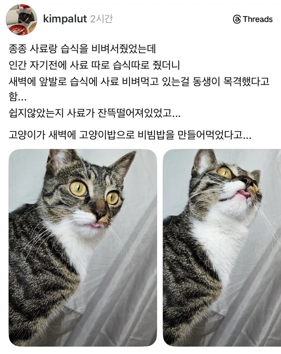 게시물 이미지