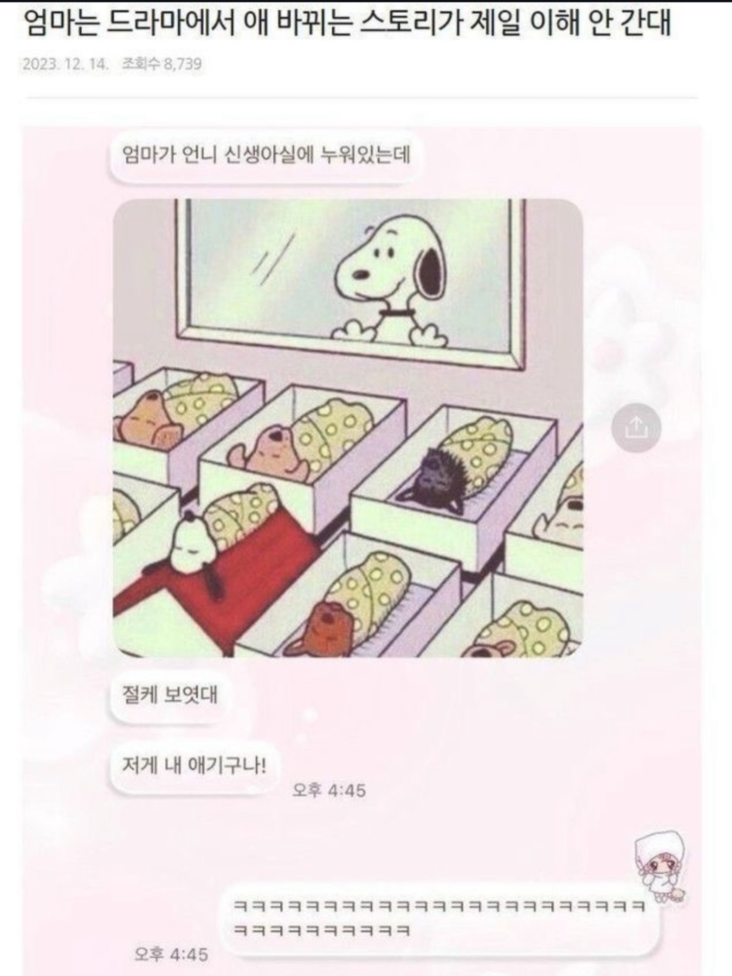 게시물 이미지