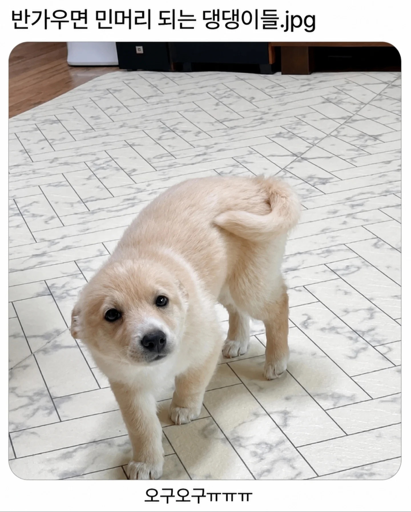 게시물 이미지