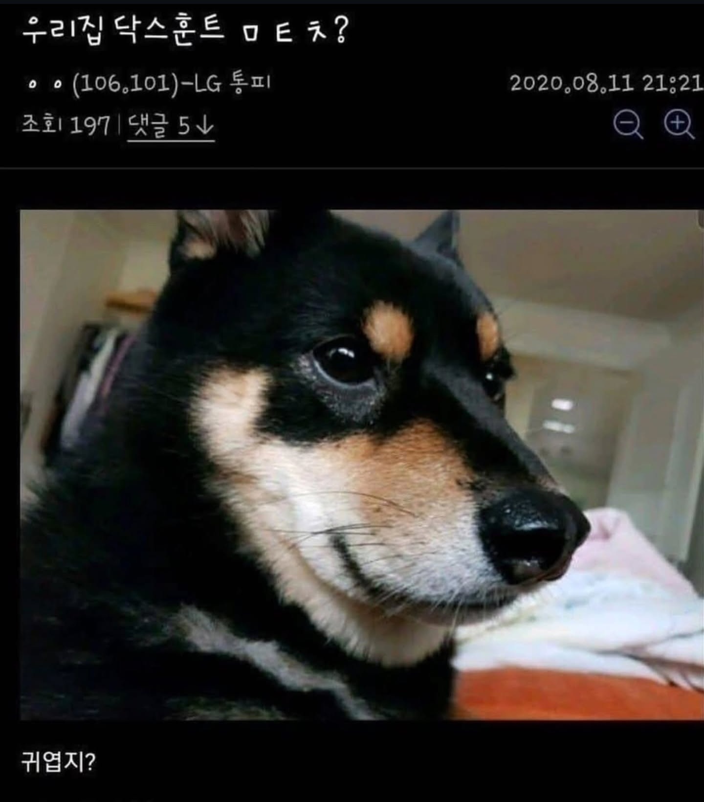 게시물 이미지