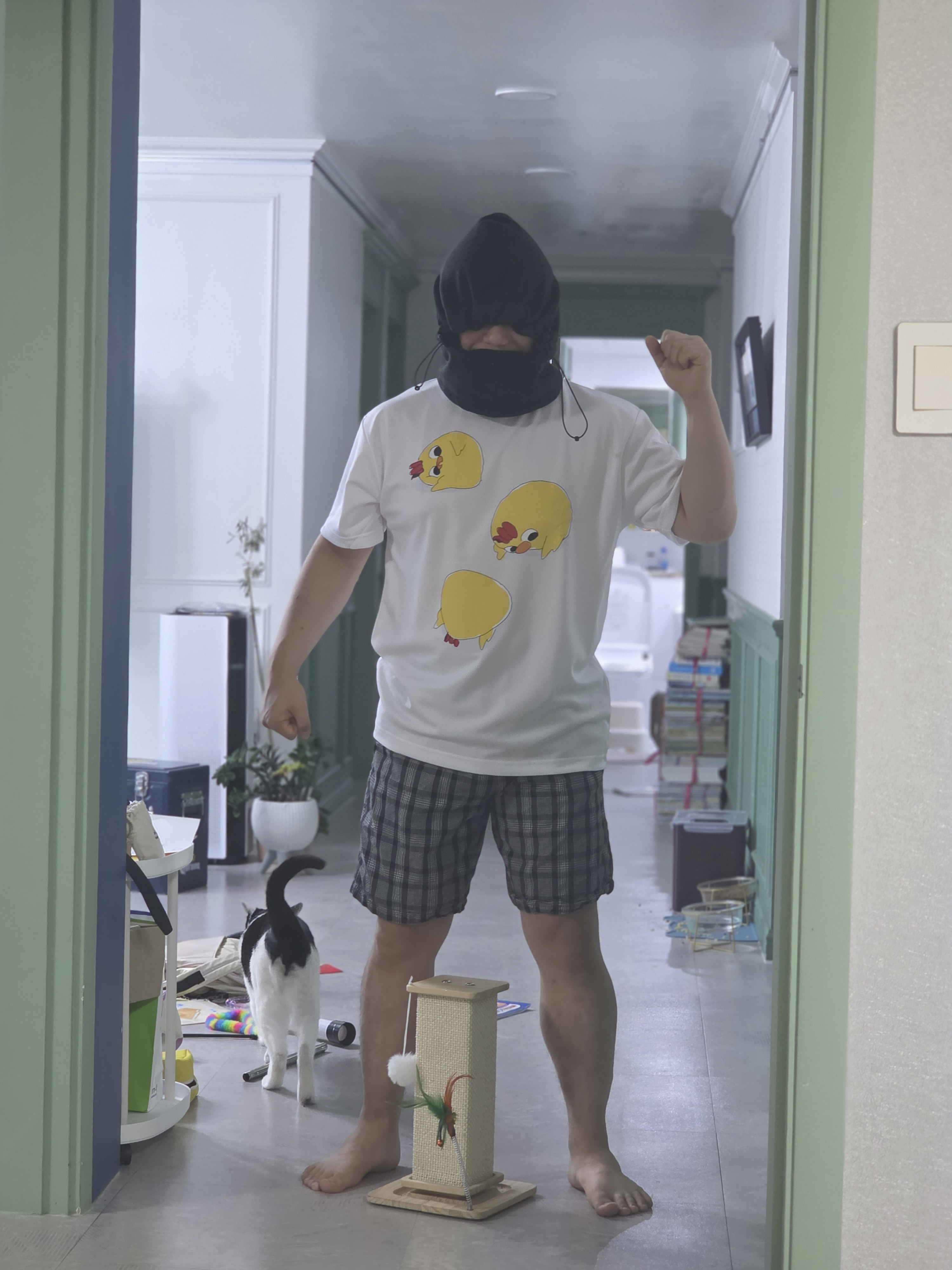 게시물 이미지