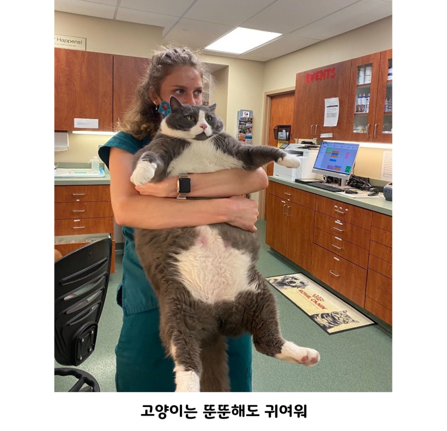 게시물 이미지