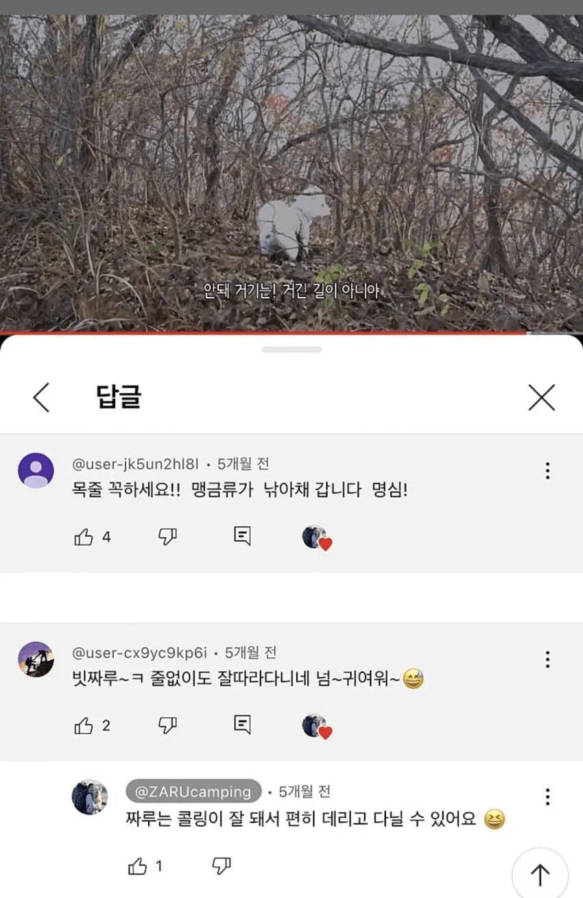 게시물 이미지