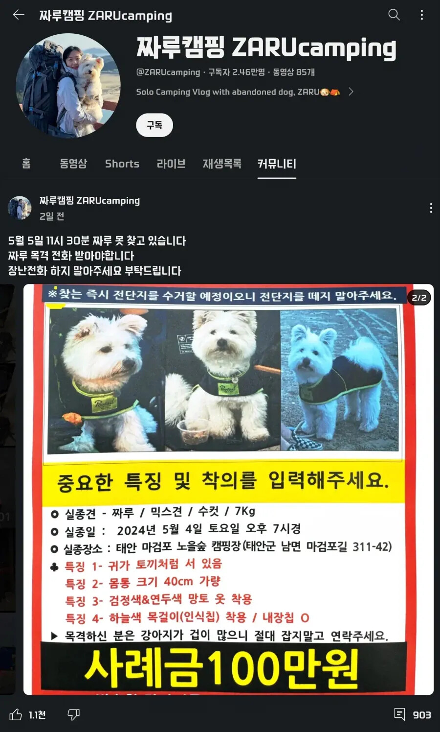 게시물 이미지