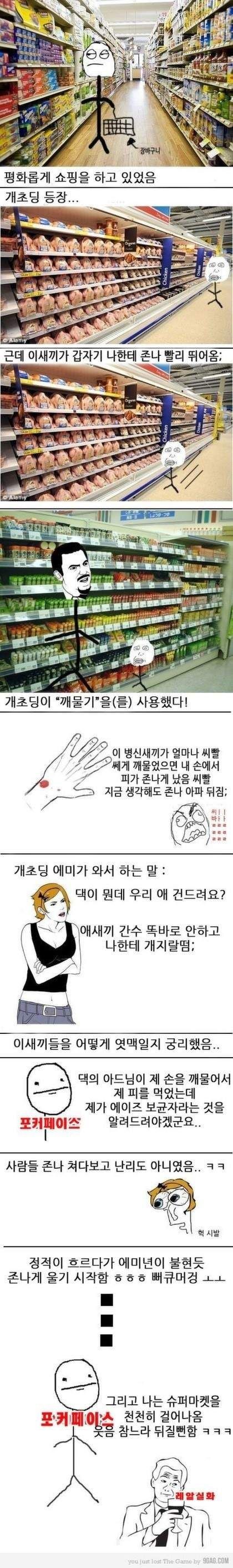 게시물 이미지