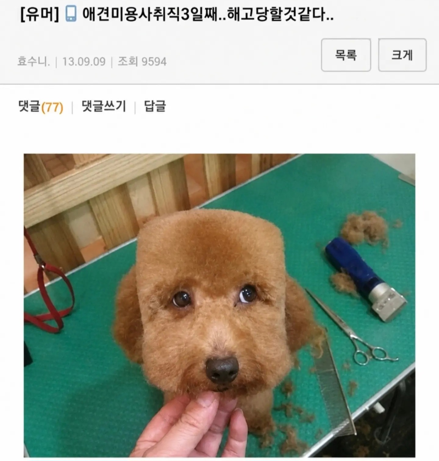 게시물 이미지
