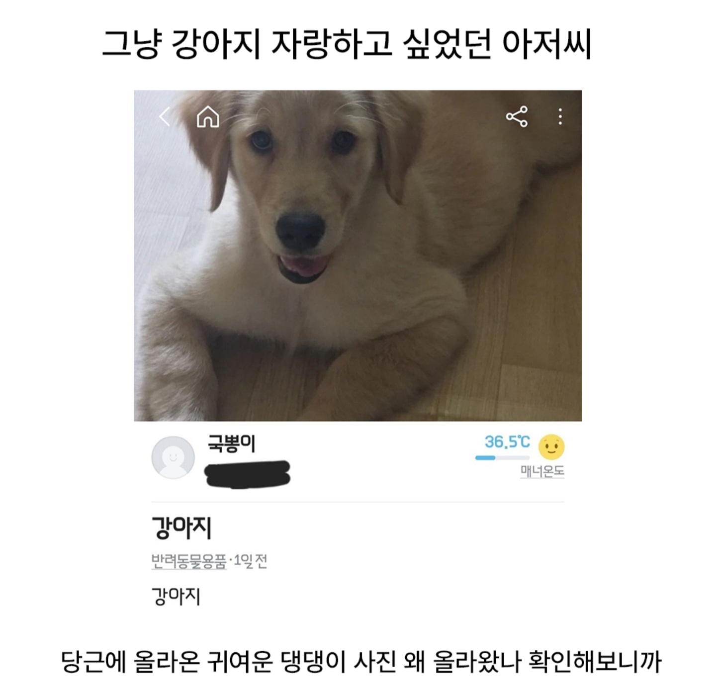 게시물 이미지