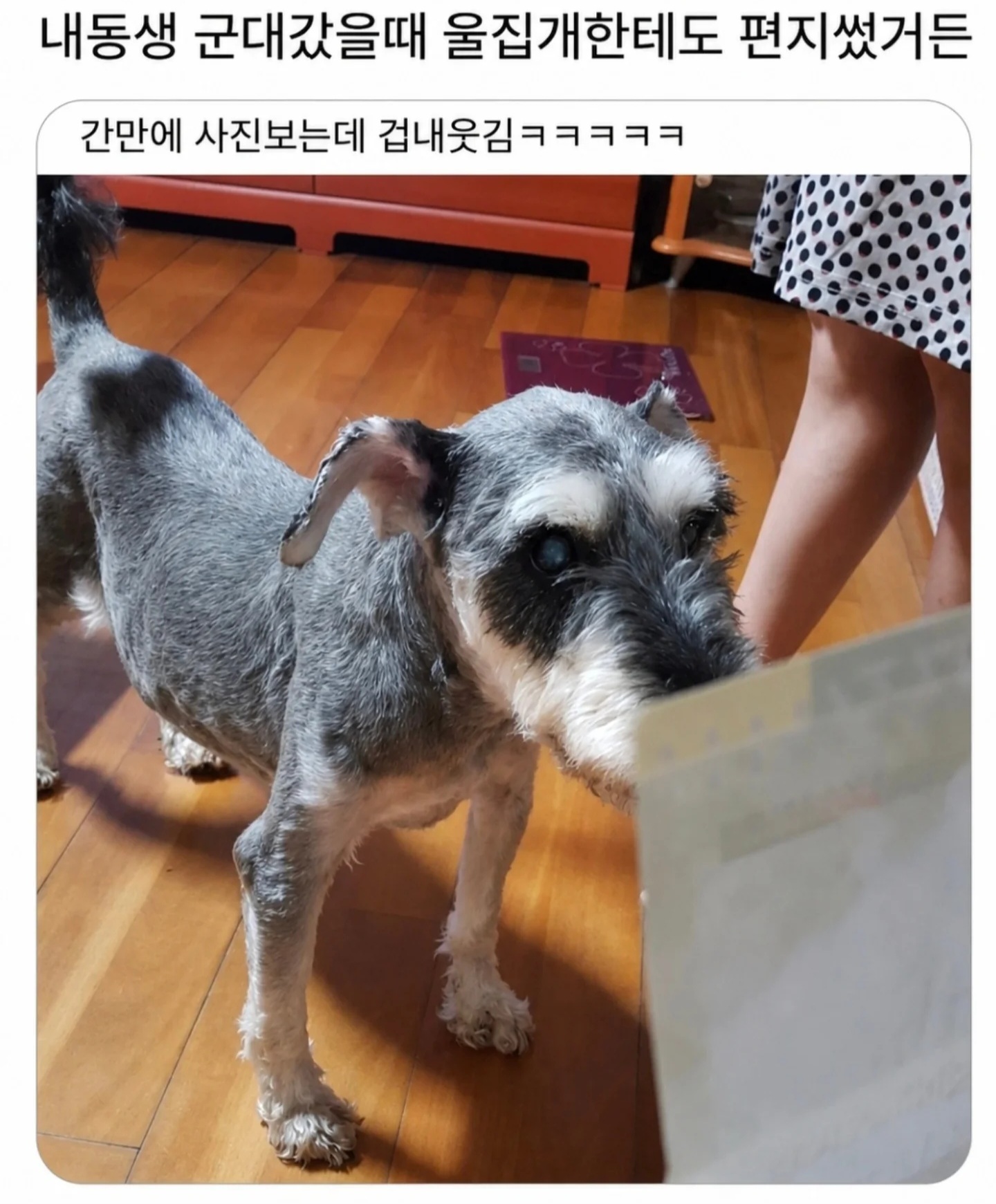 게시물 이미지