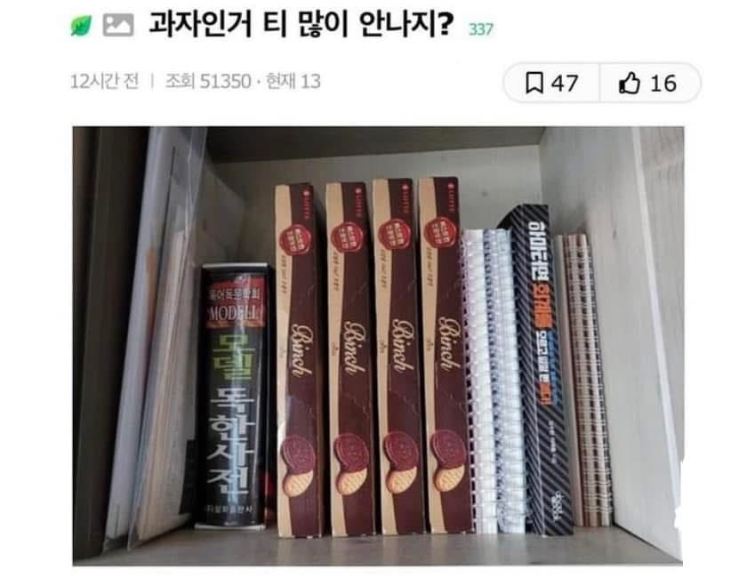 게시물 이미지