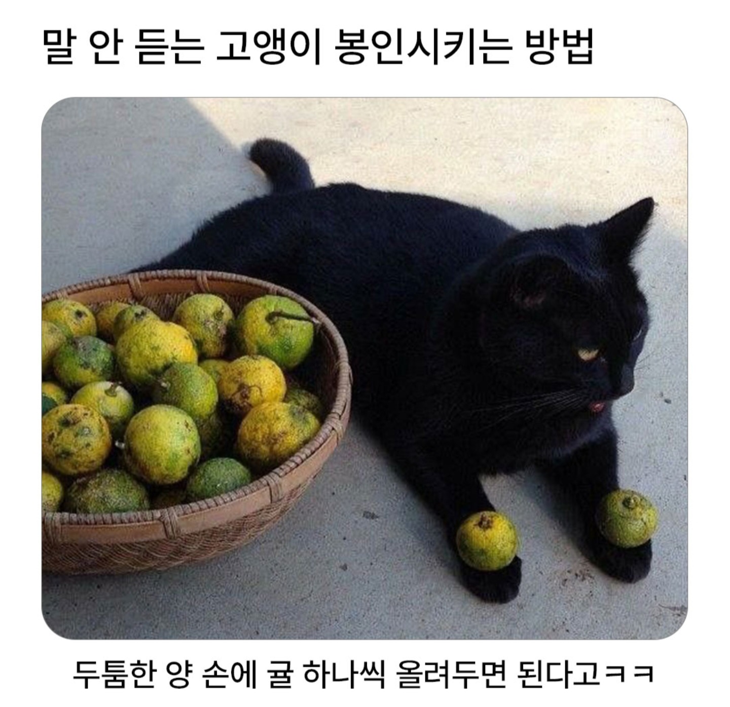 게시물 이미지