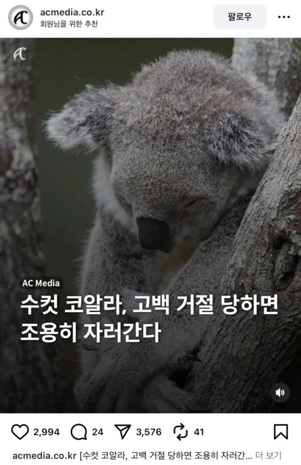 게시물 이미지