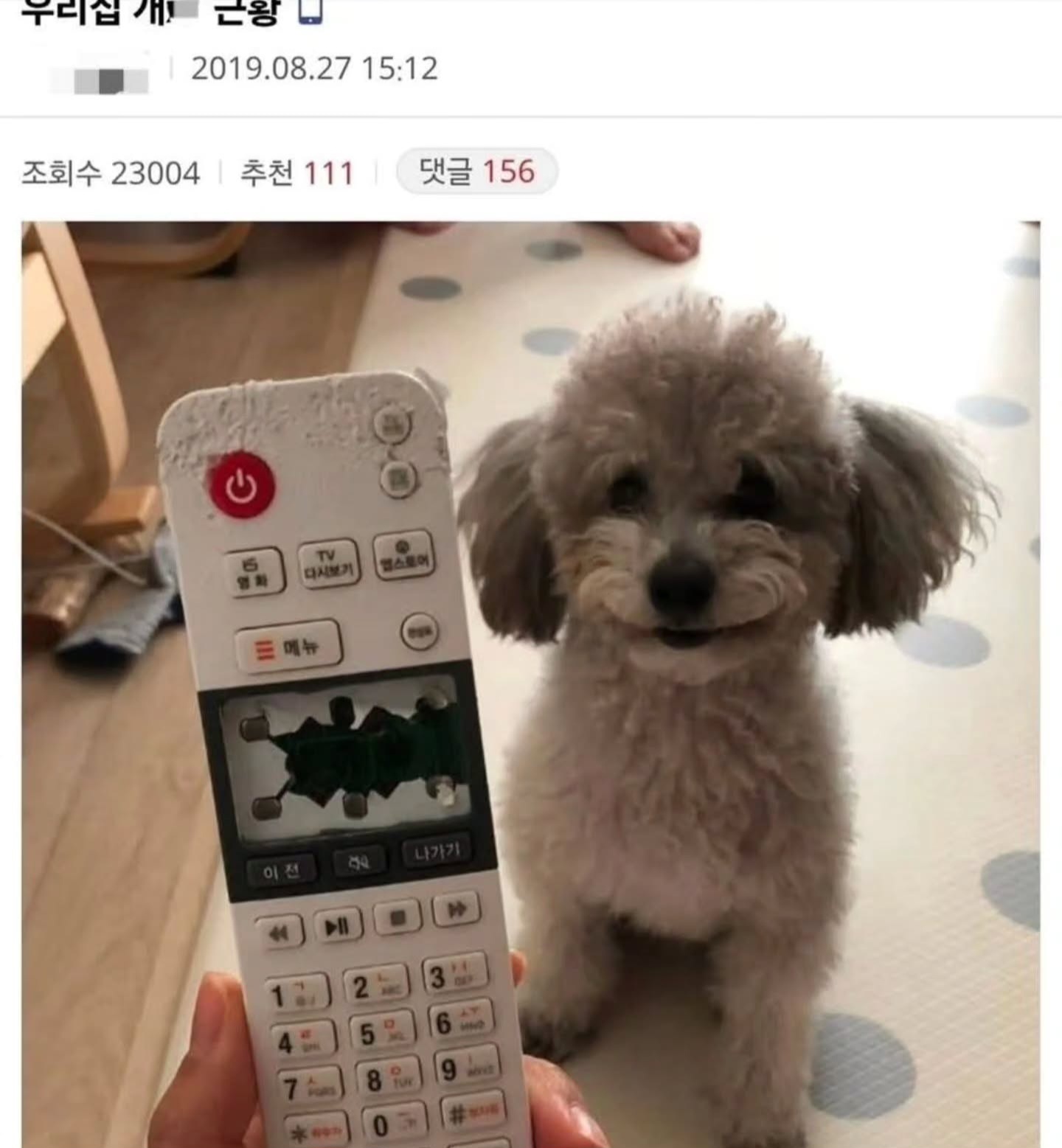 게시물 이미지