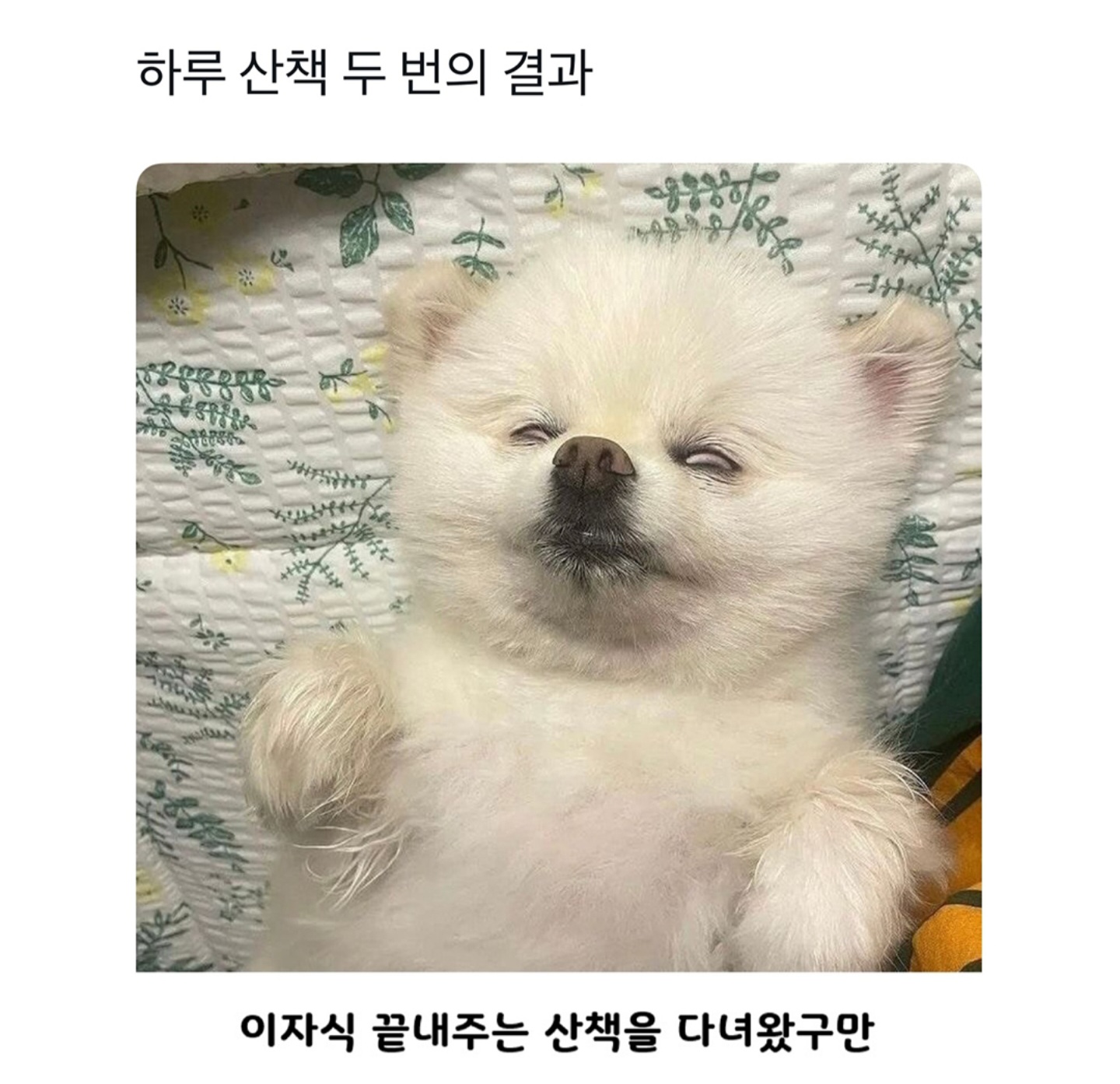 게시물 이미지
