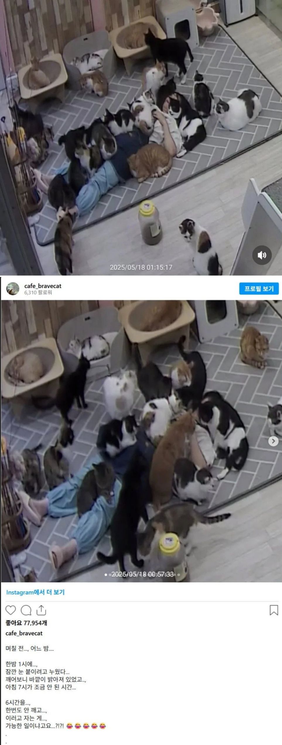 게시물 이미지