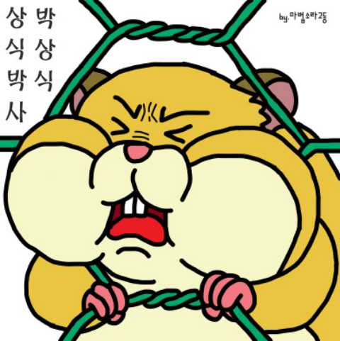 게시물 이미지