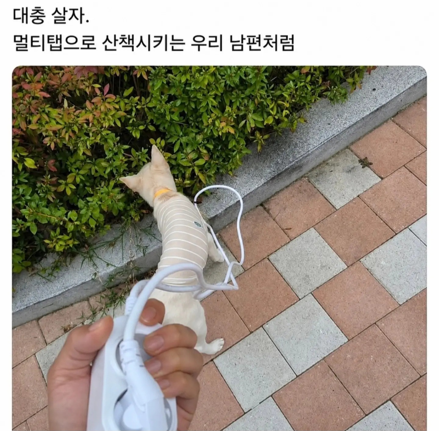 게시물 이미지