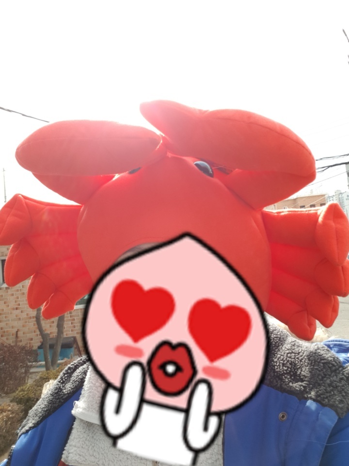 게시물 이미지