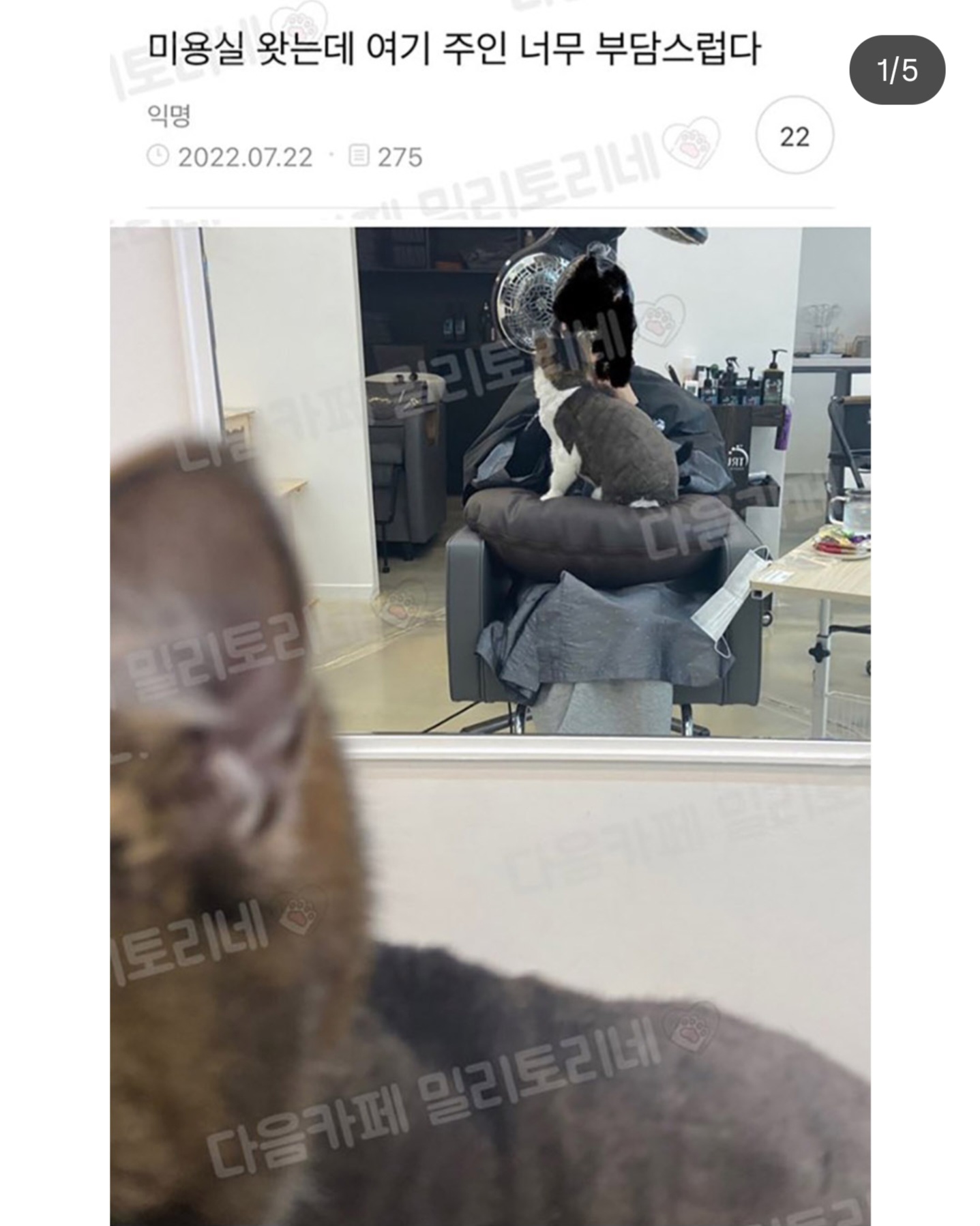 게시물 이미지