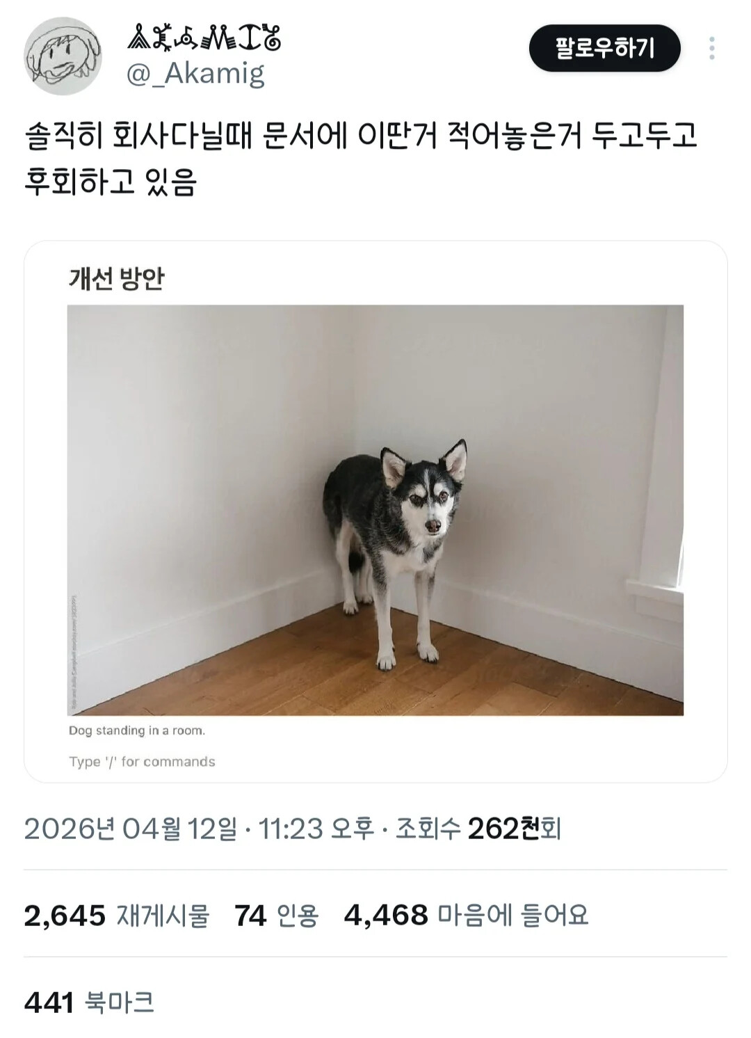 게시물 이미지
