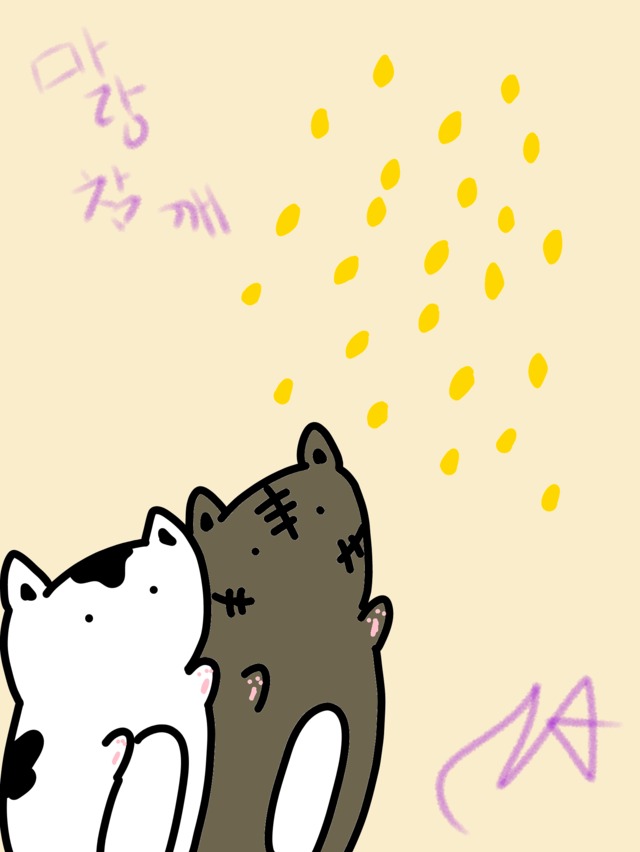 게시물 이미지