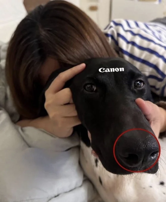 게시물 이미지
