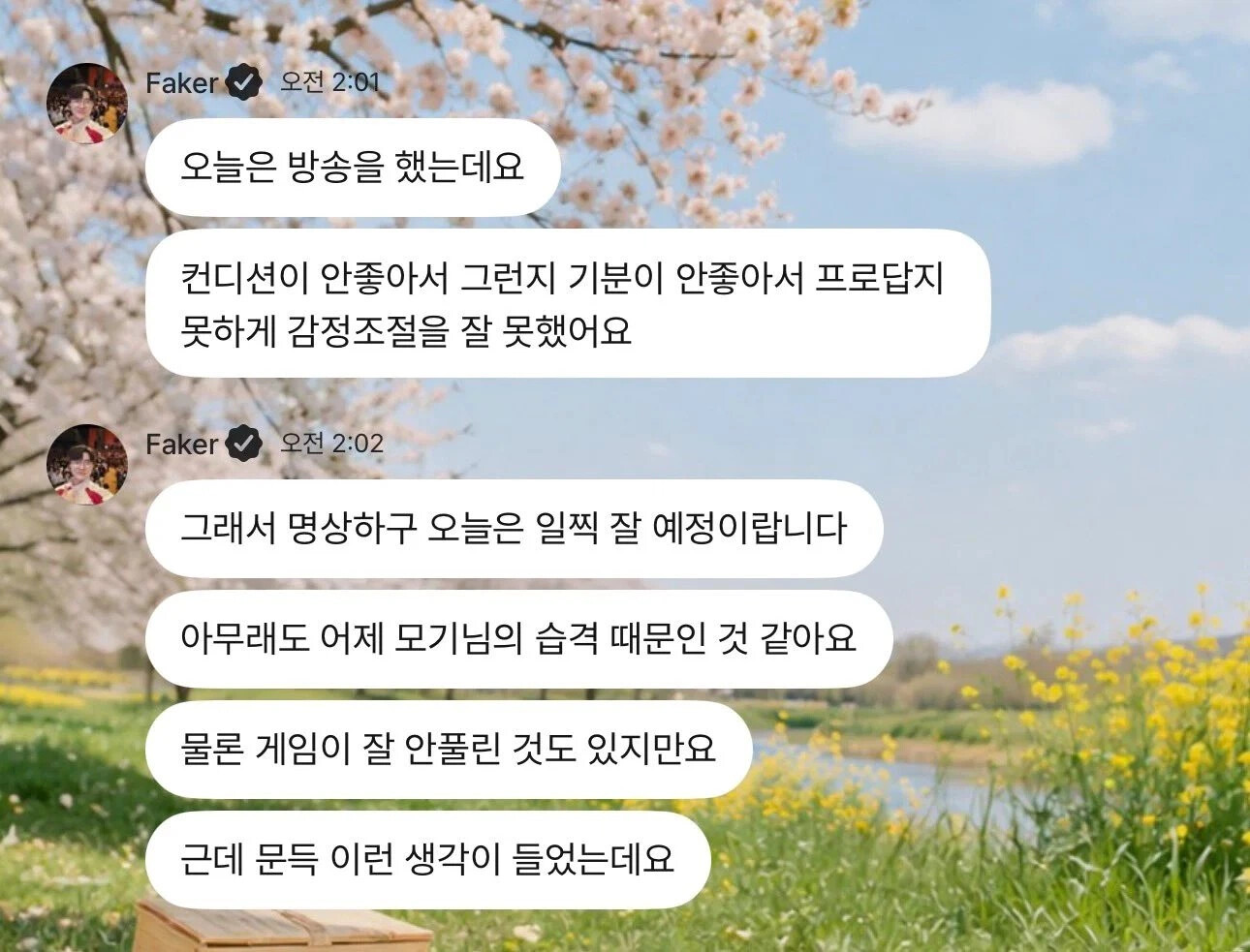 게시물 이미지