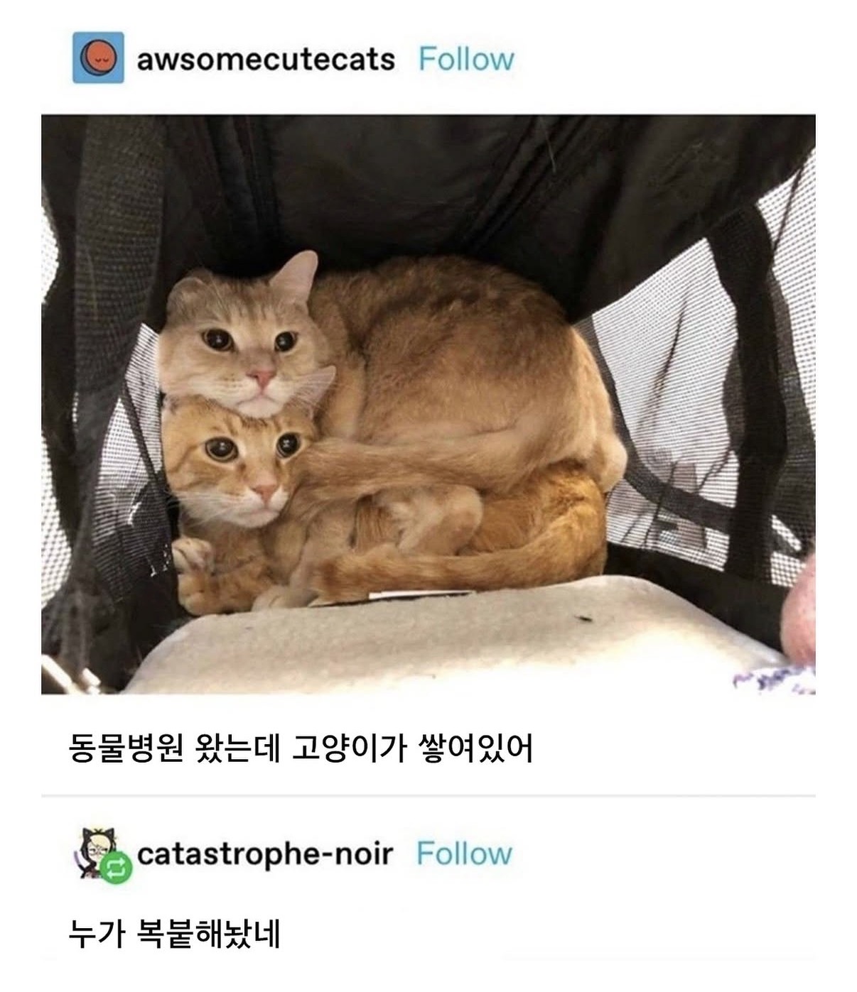 게시물 이미지