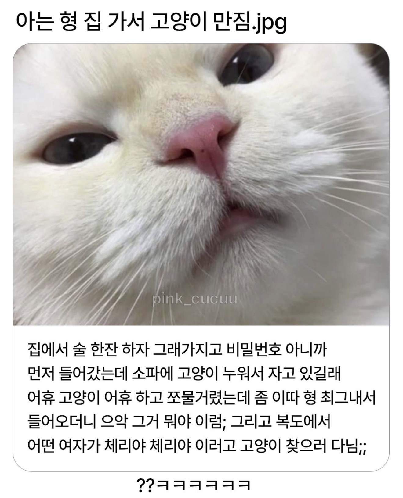 게시물 이미지