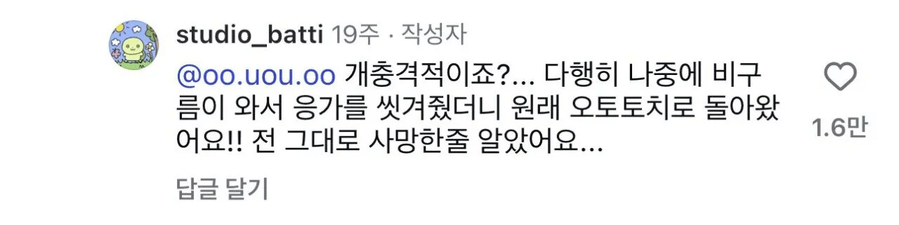 게시물 이미지