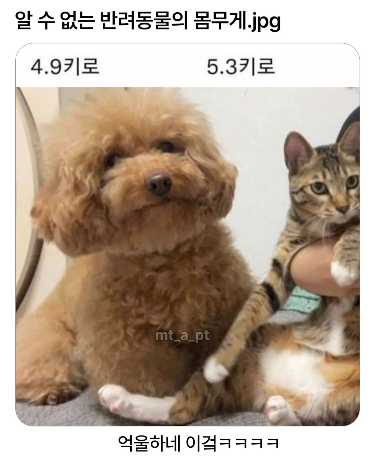 게시물 이미지