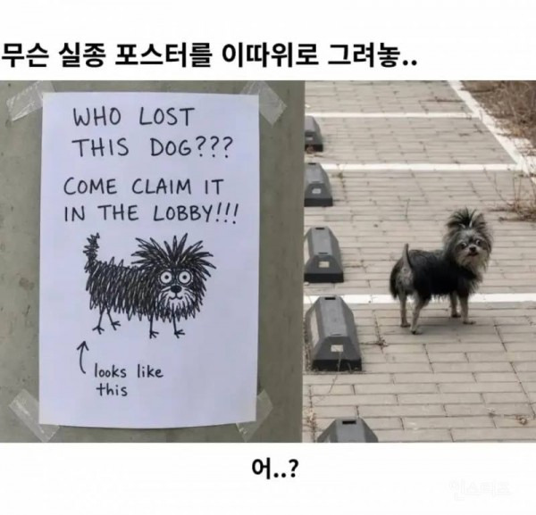게시물 이미지