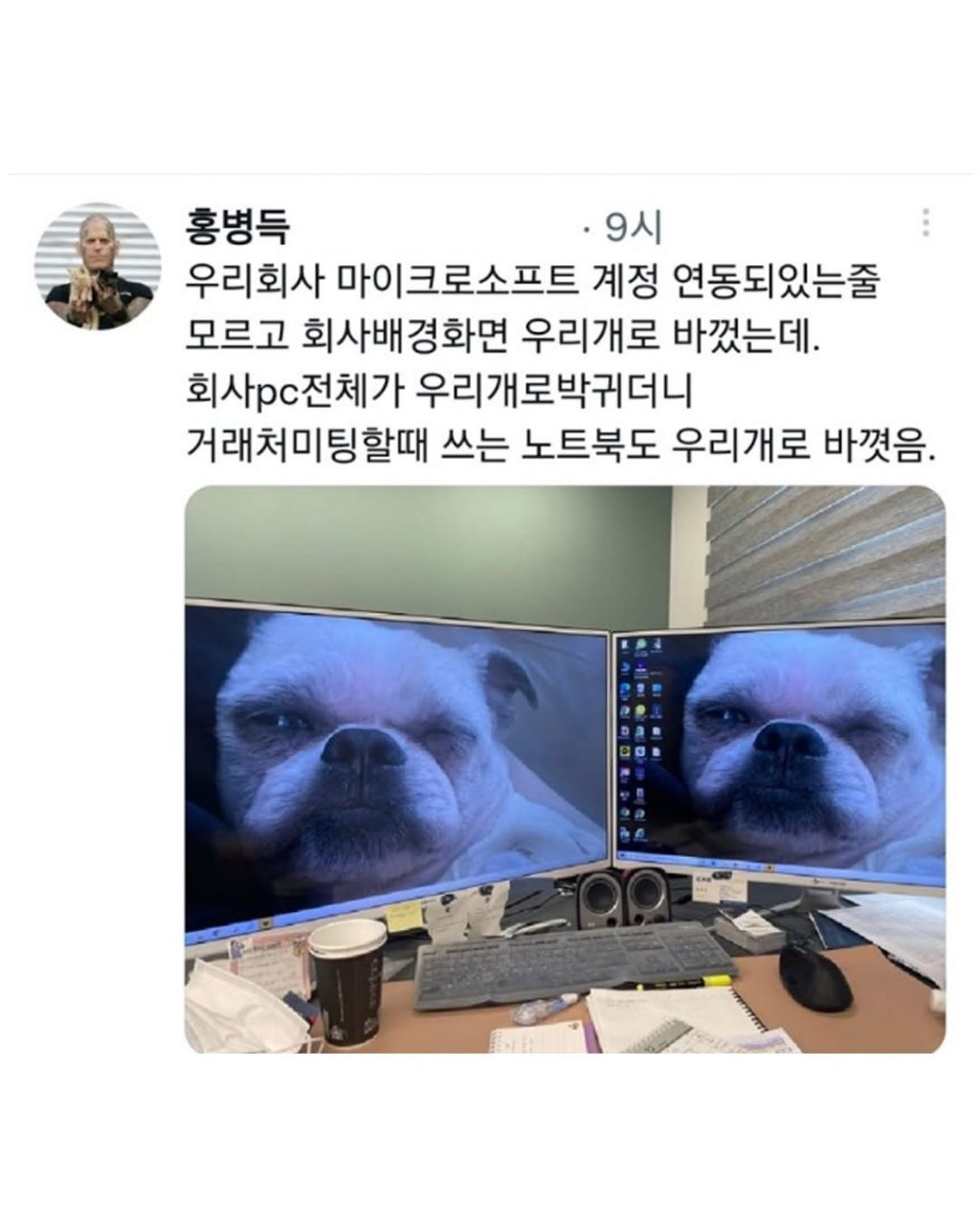 게시물 이미지