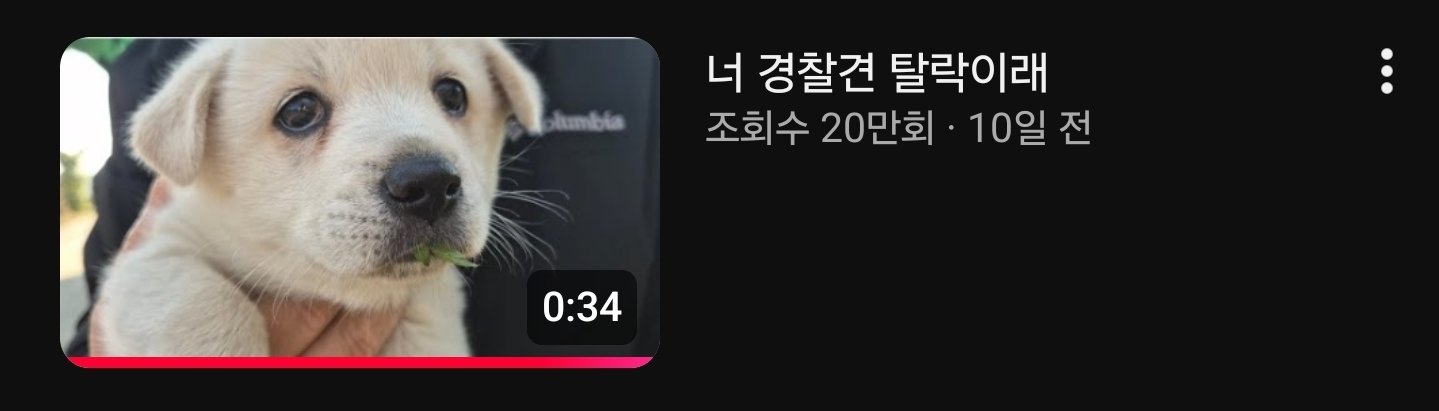 게시물 이미지