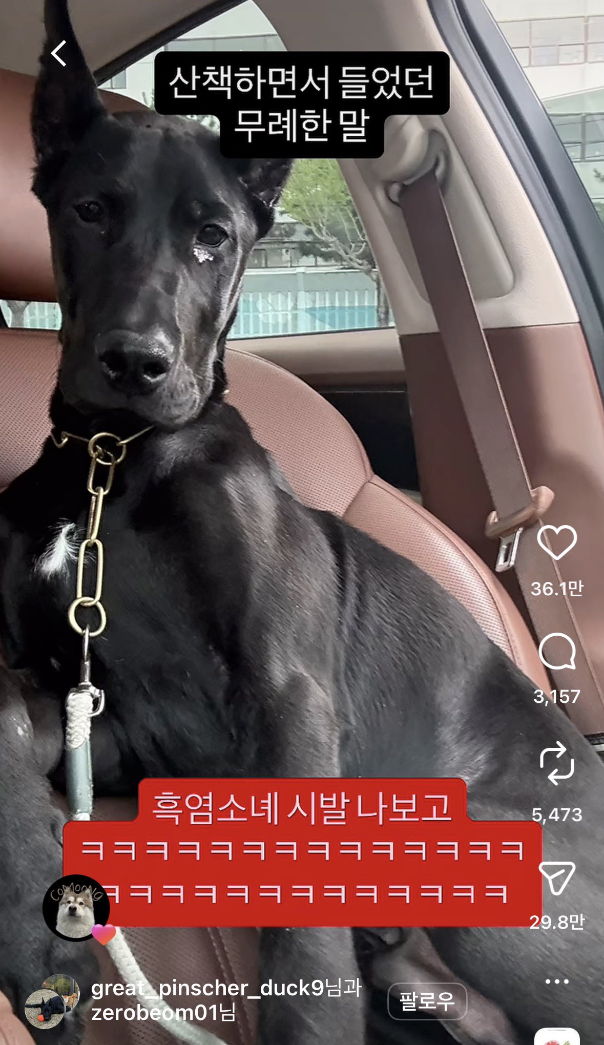 게시물 이미지