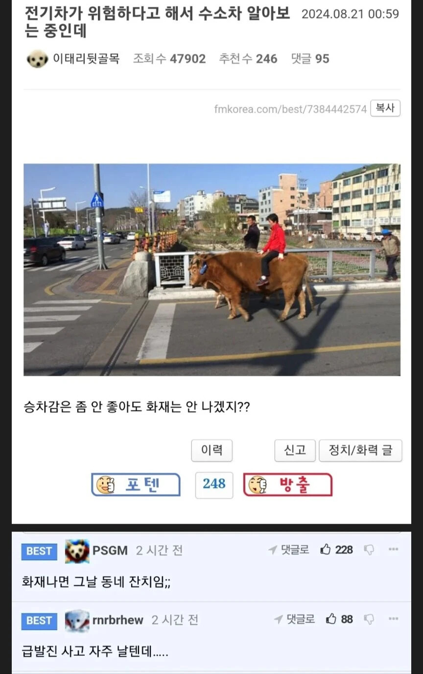 게시물 이미지