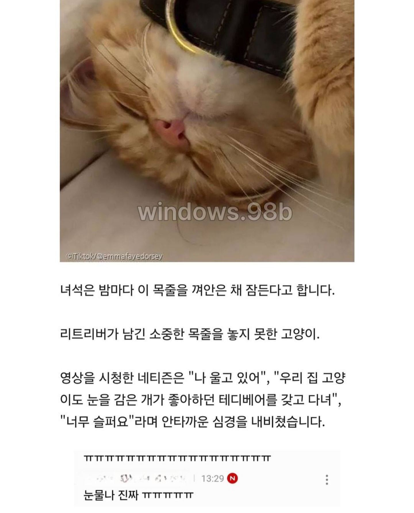 게시물 이미지
