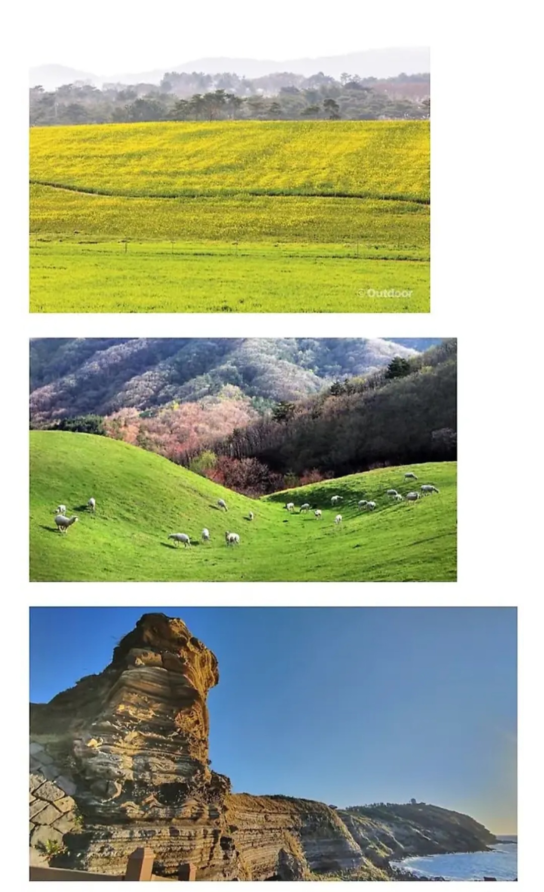 게시물 이미지