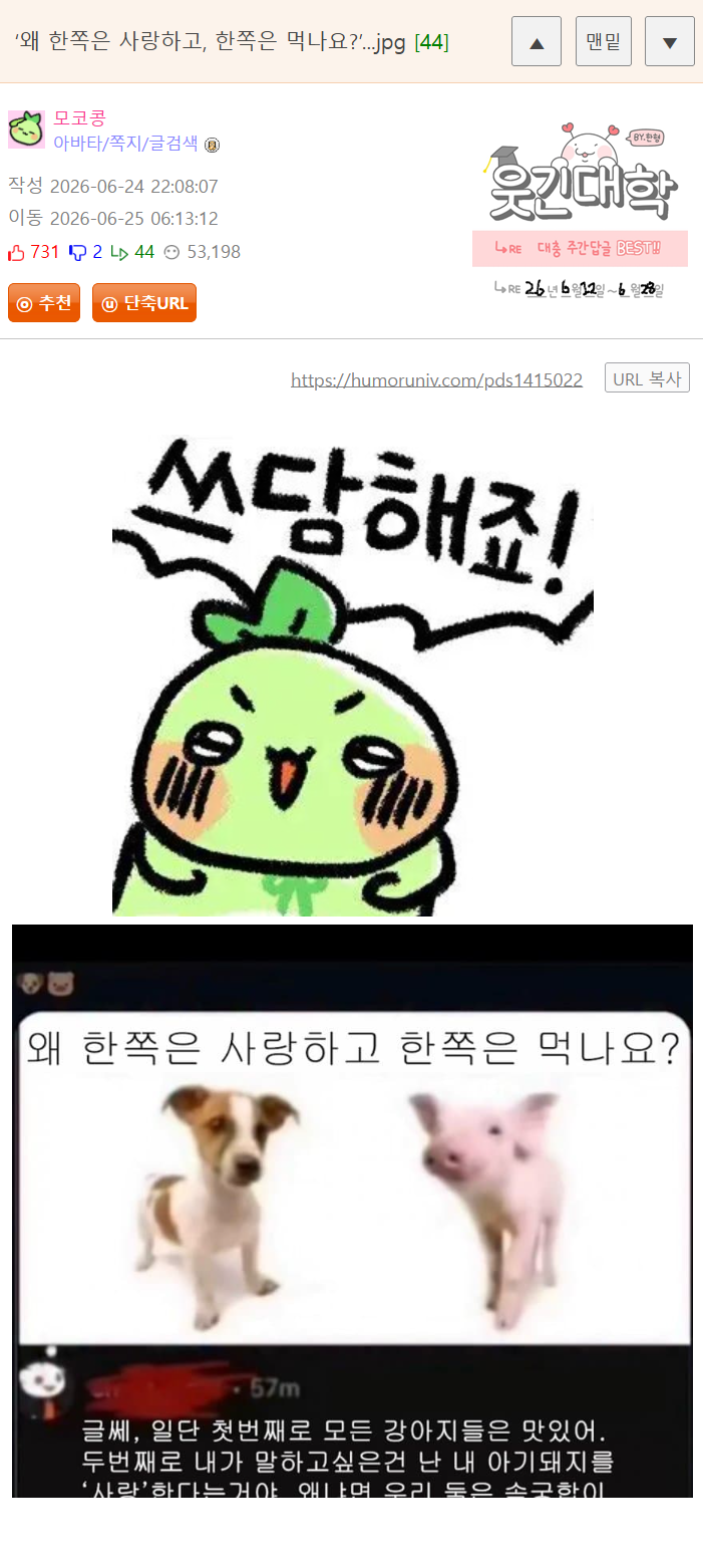 게시물 이미지