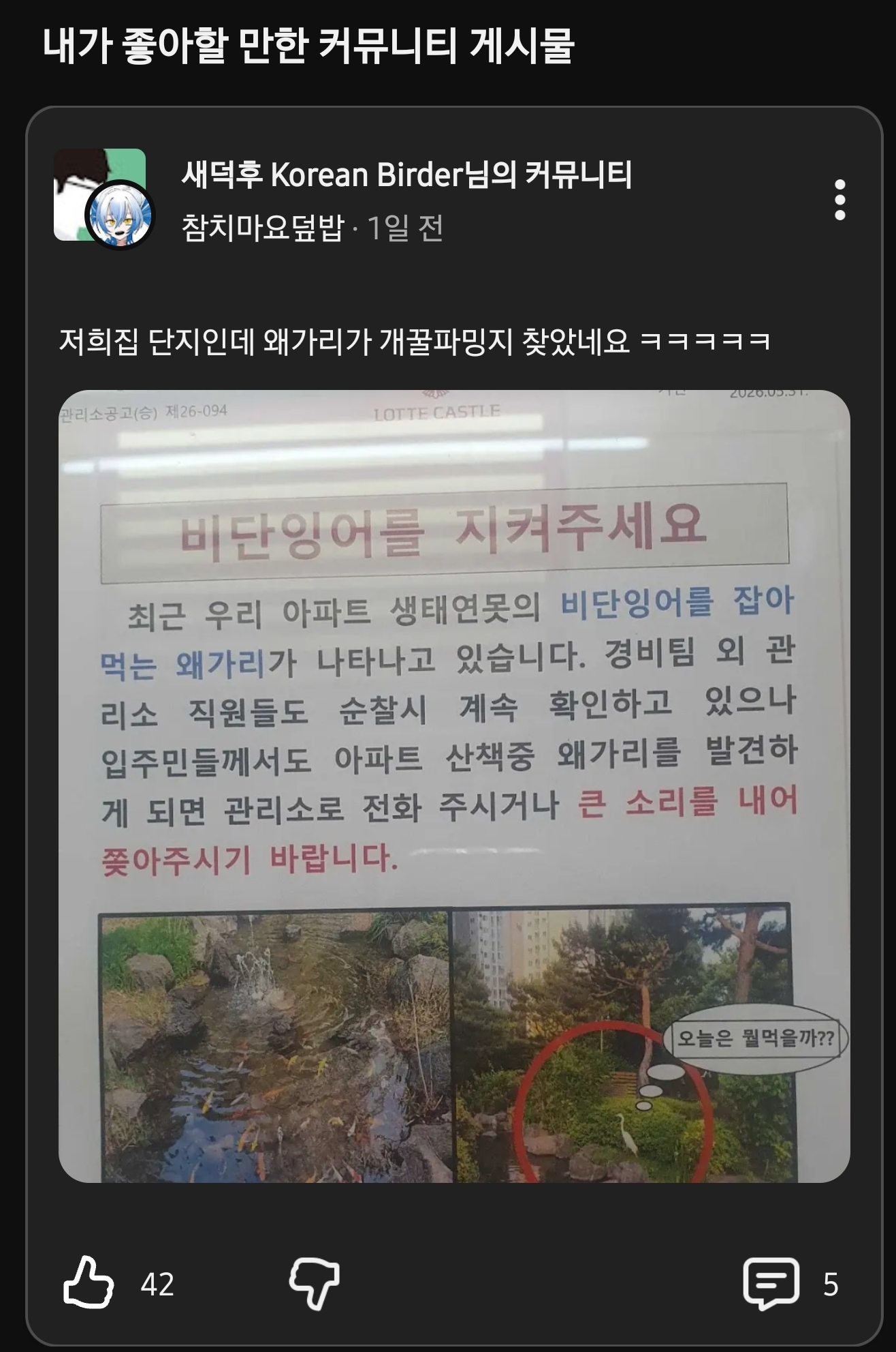 게시물 이미지