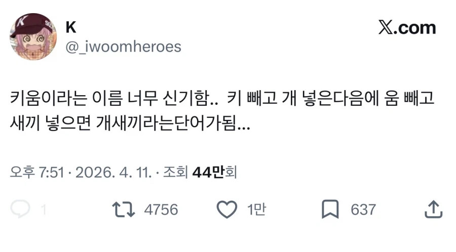 게시물 이미지