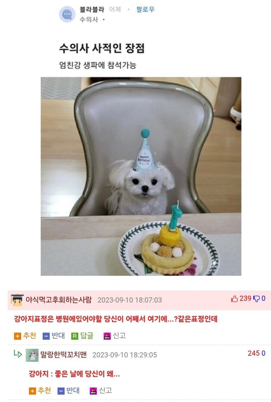게시물 이미지