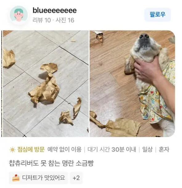 게시물 이미지