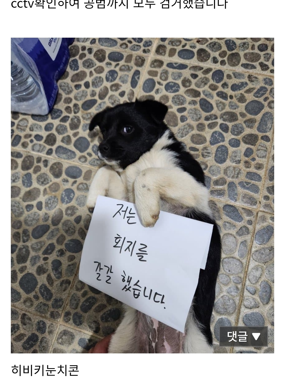 게시물 이미지