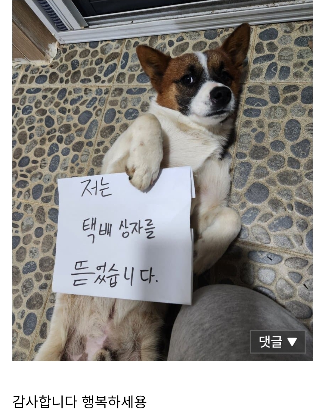 게시물 이미지