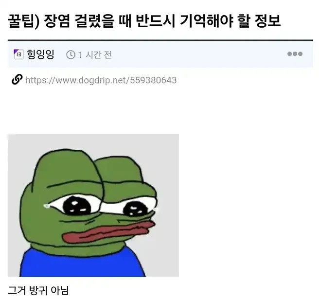 게시물 이미지